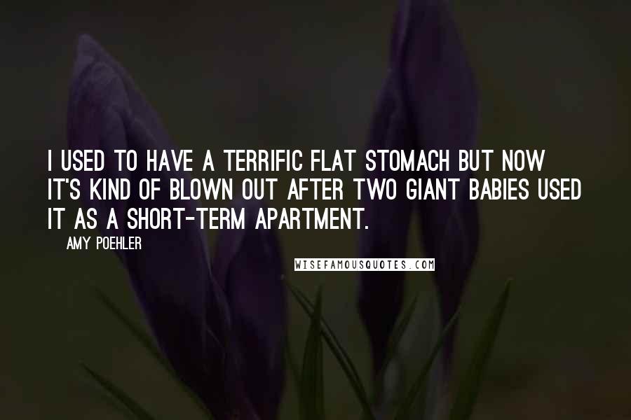 Amy Poehler Quotes: I used to have a terrific flat stomach but now it's kind of blown out after two giant babies used it as a short-term apartment.