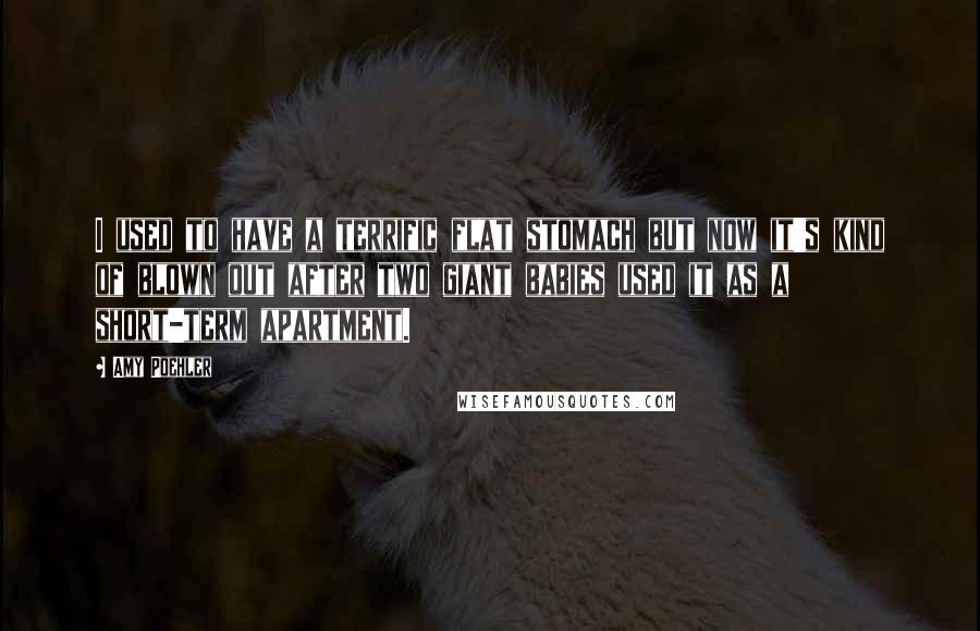 Amy Poehler Quotes: I used to have a terrific flat stomach but now it's kind of blown out after two giant babies used it as a short-term apartment.