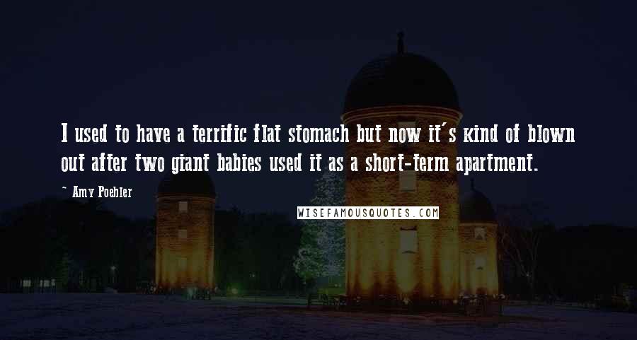 Amy Poehler Quotes: I used to have a terrific flat stomach but now it's kind of blown out after two giant babies used it as a short-term apartment.