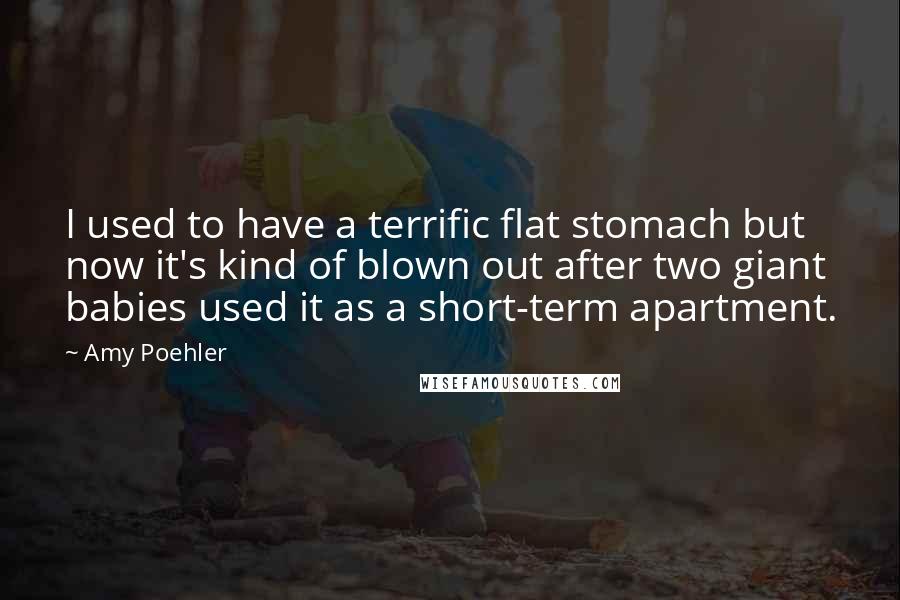 Amy Poehler Quotes: I used to have a terrific flat stomach but now it's kind of blown out after two giant babies used it as a short-term apartment.