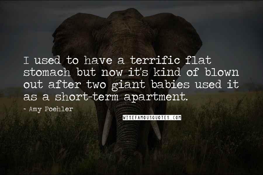 Amy Poehler Quotes: I used to have a terrific flat stomach but now it's kind of blown out after two giant babies used it as a short-term apartment.