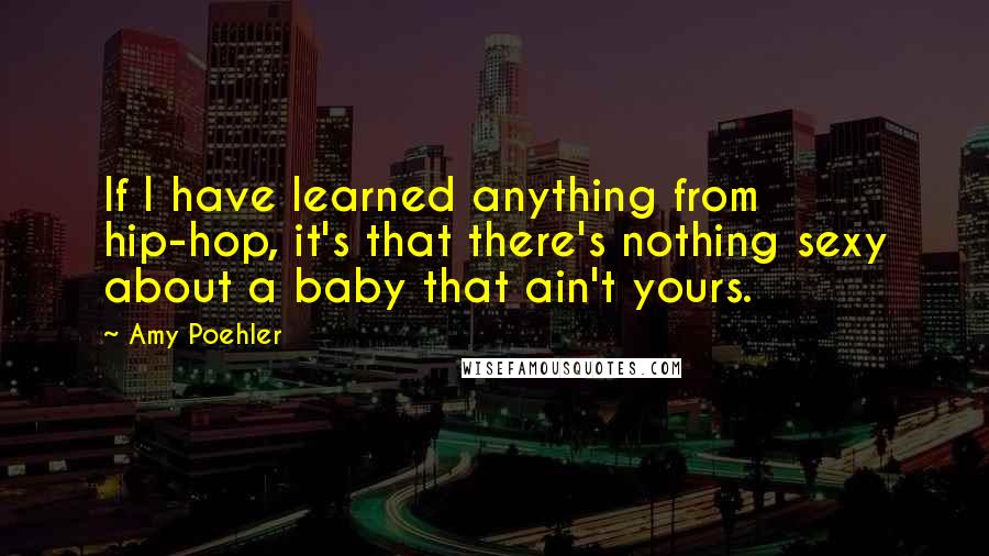 Amy Poehler Quotes: If I have learned anything from hip-hop, it's that there's nothing sexy about a baby that ain't yours.