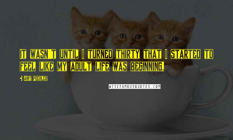 Amy Poehler Quotes: It wasn't until I turned thirty that I started to feel like my adult life was beginning.