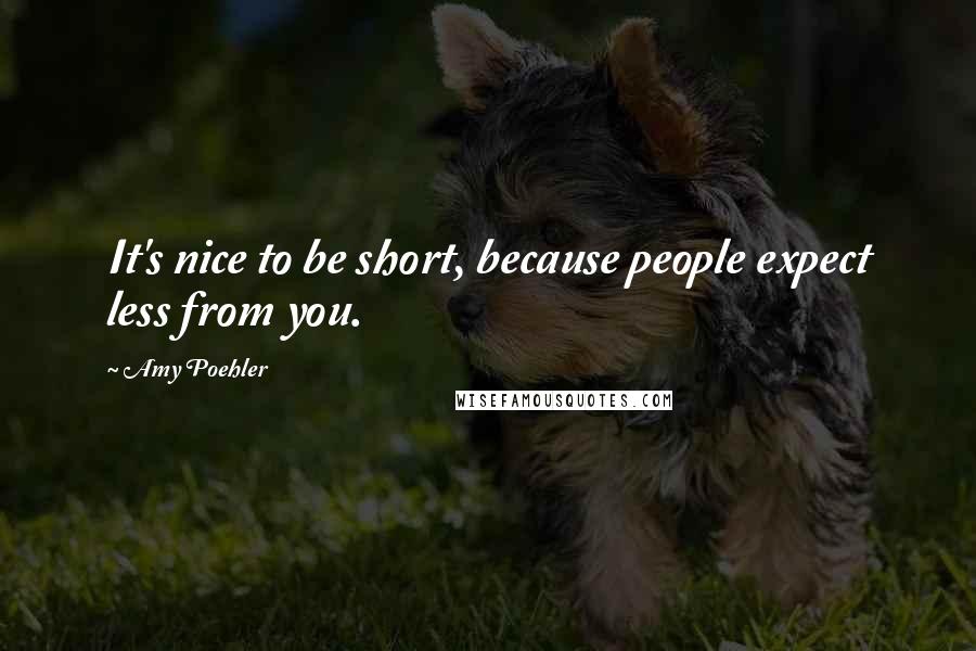 Amy Poehler Quotes: It's nice to be short, because people expect less from you.