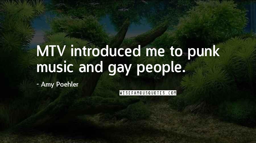 Amy Poehler Quotes: MTV introduced me to punk music and gay people.