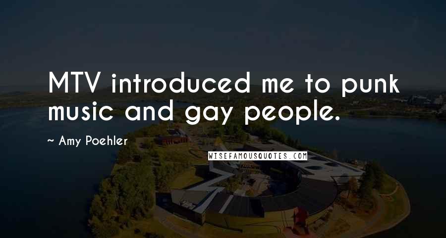 Amy Poehler Quotes: MTV introduced me to punk music and gay people.