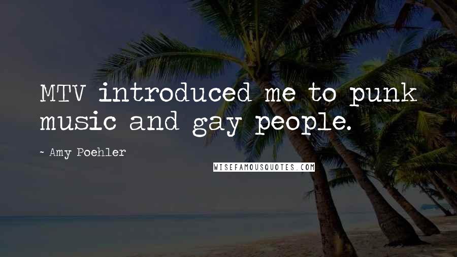 Amy Poehler Quotes: MTV introduced me to punk music and gay people.