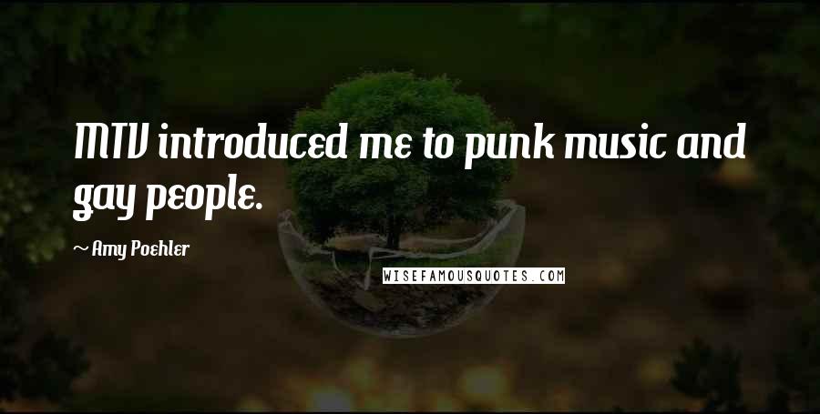 Amy Poehler Quotes: MTV introduced me to punk music and gay people.