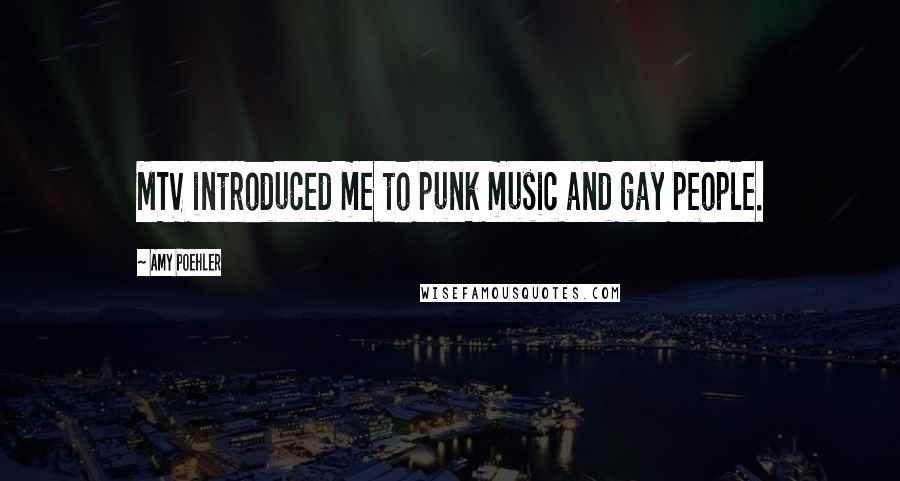 Amy Poehler Quotes: MTV introduced me to punk music and gay people.