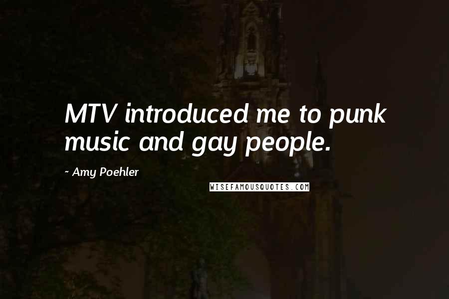 Amy Poehler Quotes: MTV introduced me to punk music and gay people.