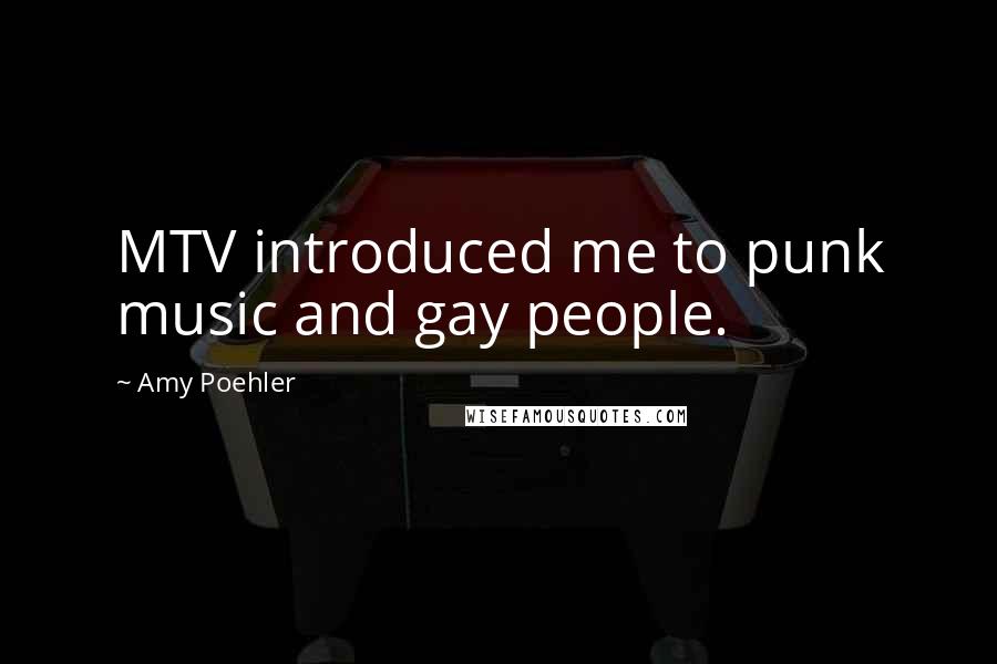 Amy Poehler Quotes: MTV introduced me to punk music and gay people.