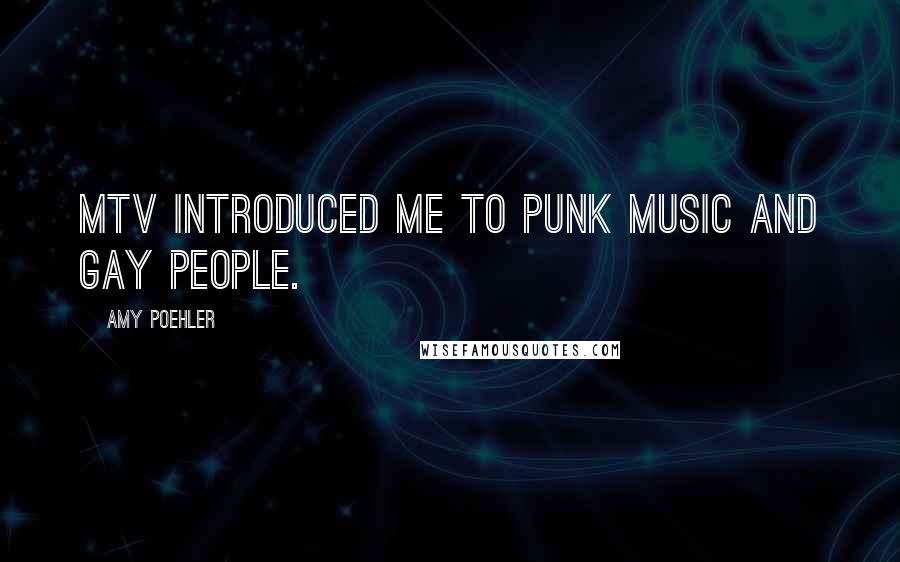 Amy Poehler Quotes: MTV introduced me to punk music and gay people.