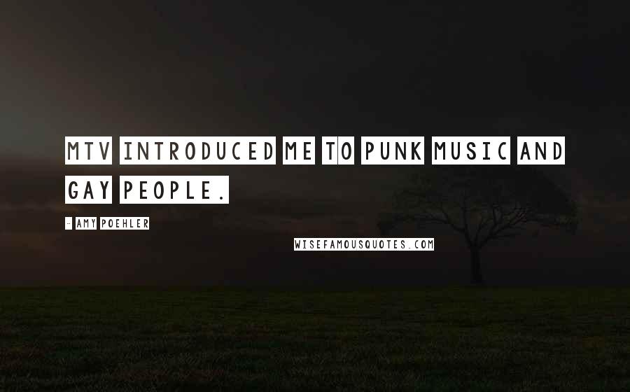 Amy Poehler Quotes: MTV introduced me to punk music and gay people.