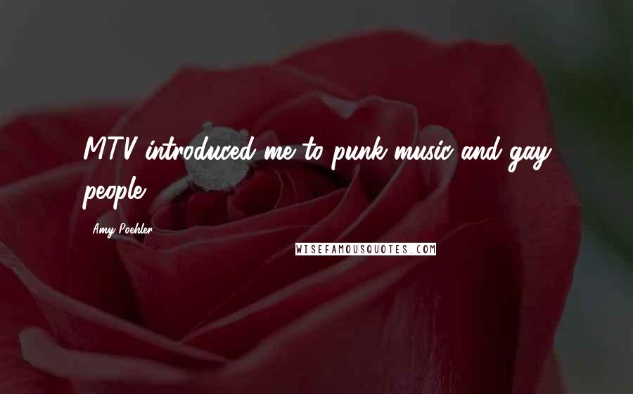Amy Poehler Quotes: MTV introduced me to punk music and gay people.