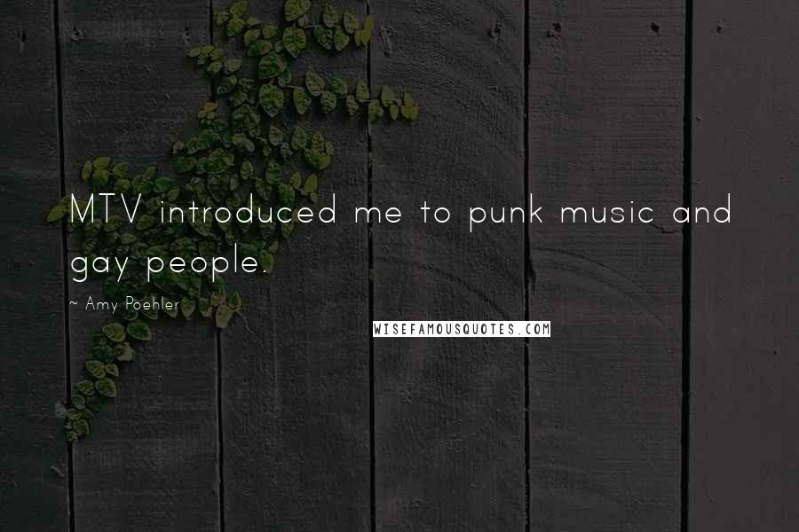 Amy Poehler Quotes: MTV introduced me to punk music and gay people.