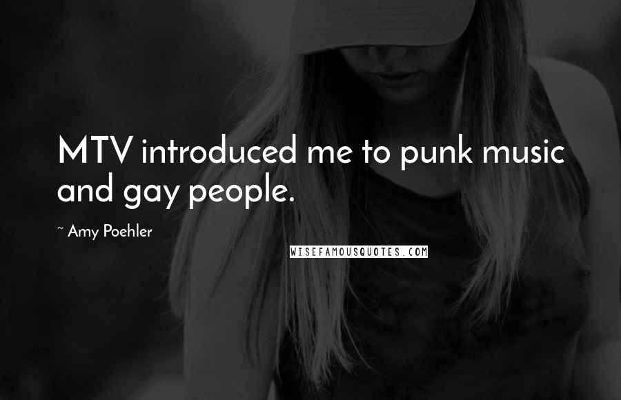 Amy Poehler Quotes: MTV introduced me to punk music and gay people.