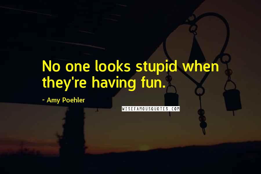 Amy Poehler Quotes: No one looks stupid when they're having fun.