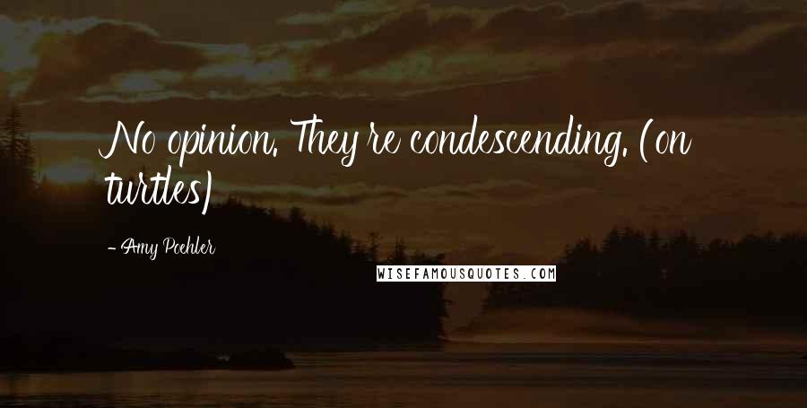 Amy Poehler Quotes: No opinion. They're condescending. (on turtles)