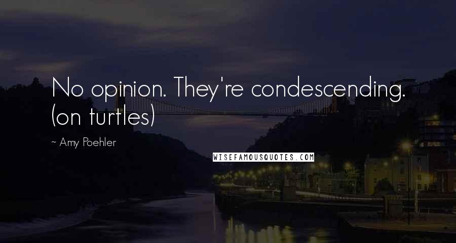 Amy Poehler Quotes: No opinion. They're condescending. (on turtles)