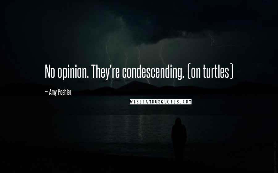 Amy Poehler Quotes: No opinion. They're condescending. (on turtles)