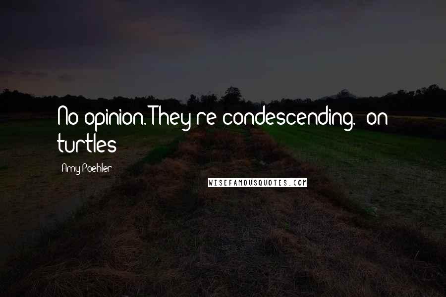 Amy Poehler Quotes: No opinion. They're condescending. (on turtles)