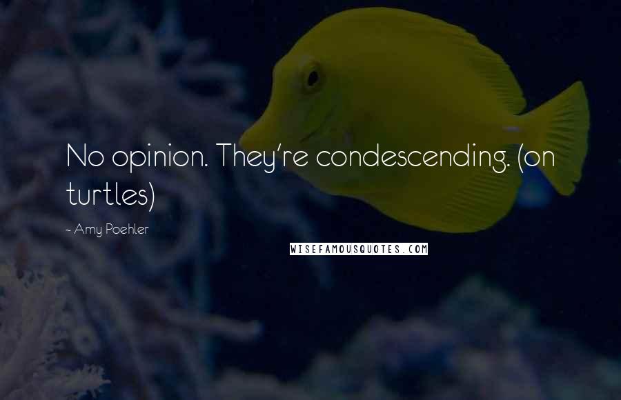 Amy Poehler Quotes: No opinion. They're condescending. (on turtles)