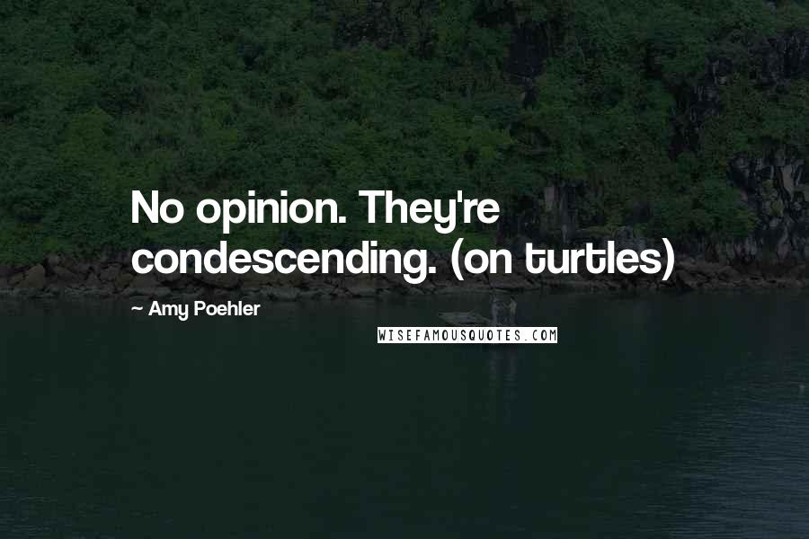 Amy Poehler Quotes: No opinion. They're condescending. (on turtles)