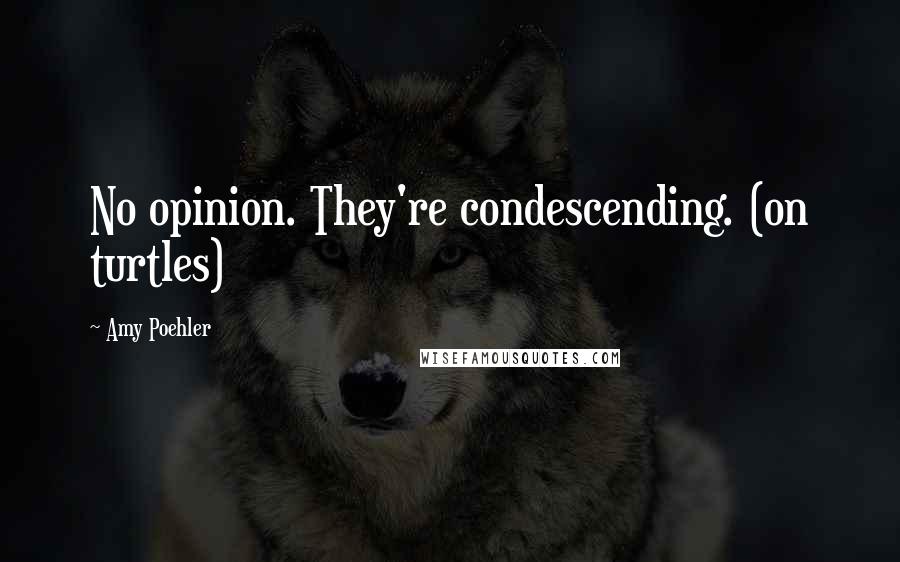 Amy Poehler Quotes: No opinion. They're condescending. (on turtles)