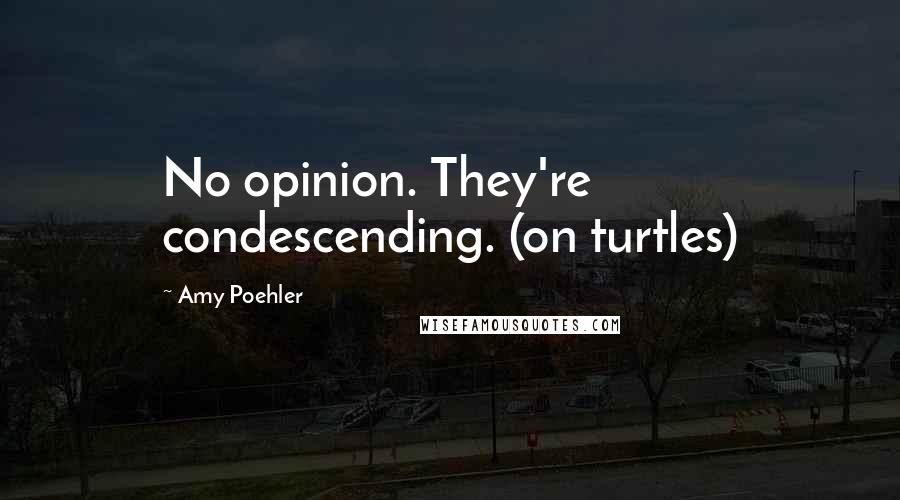 Amy Poehler Quotes: No opinion. They're condescending. (on turtles)