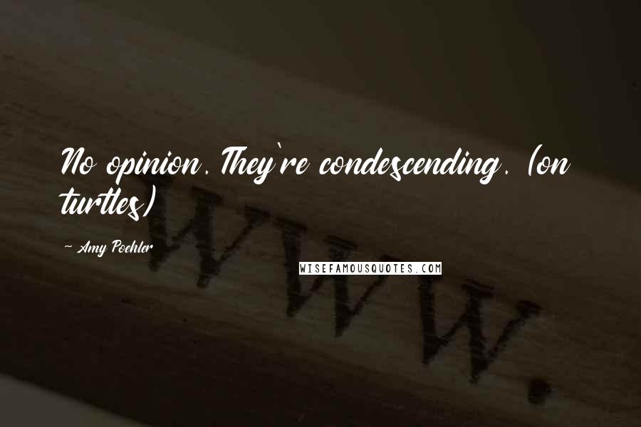 Amy Poehler Quotes: No opinion. They're condescending. (on turtles)