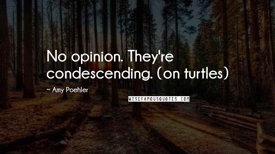 Amy Poehler Quotes: No opinion. They're condescending. (on turtles)