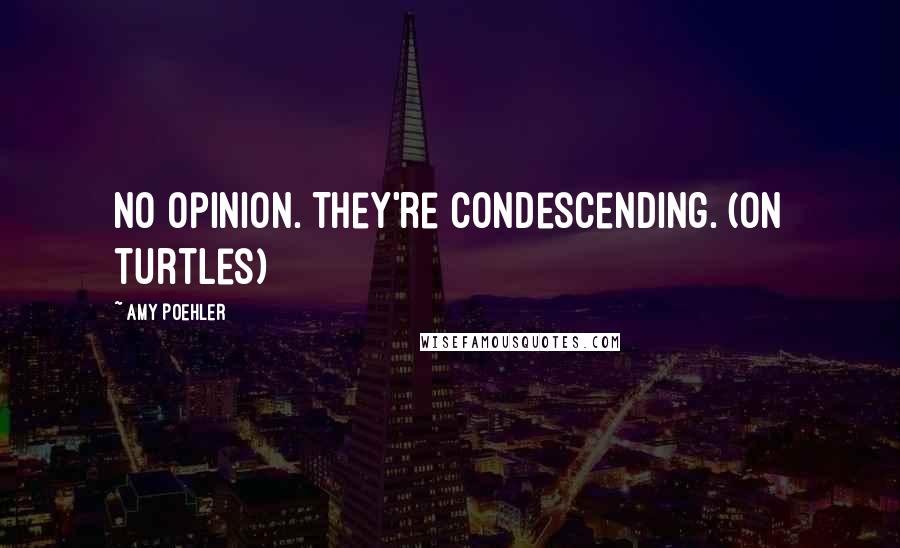 Amy Poehler Quotes: No opinion. They're condescending. (on turtles)