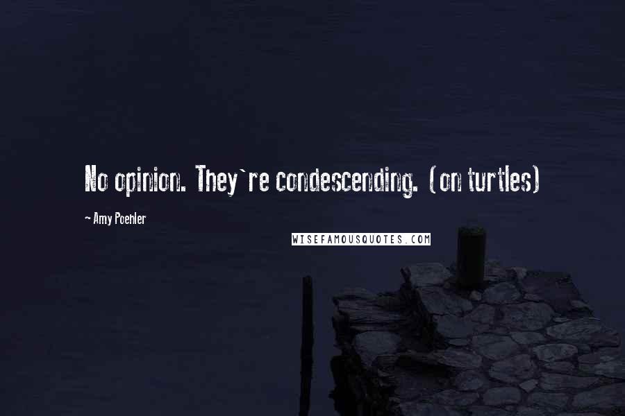 Amy Poehler Quotes: No opinion. They're condescending. (on turtles)