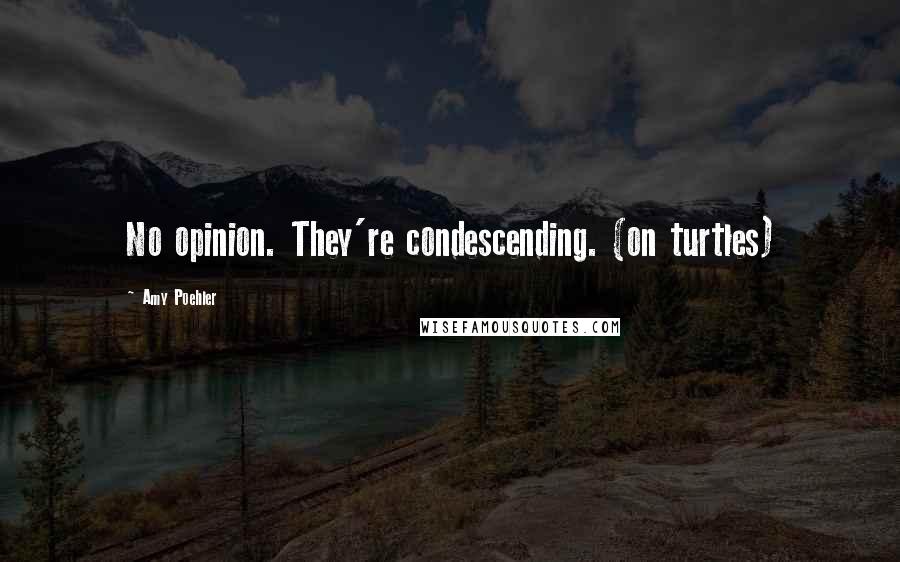 Amy Poehler Quotes: No opinion. They're condescending. (on turtles)