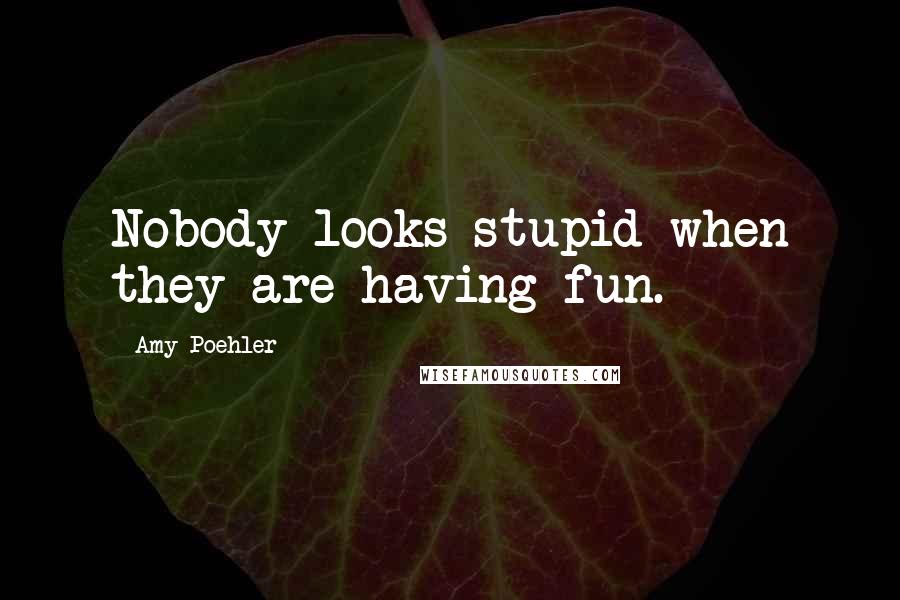 Amy Poehler Quotes: Nobody looks stupid when they are having fun.