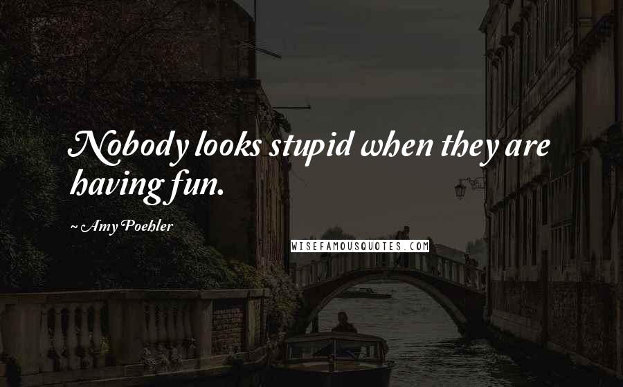Amy Poehler Quotes: Nobody looks stupid when they are having fun.