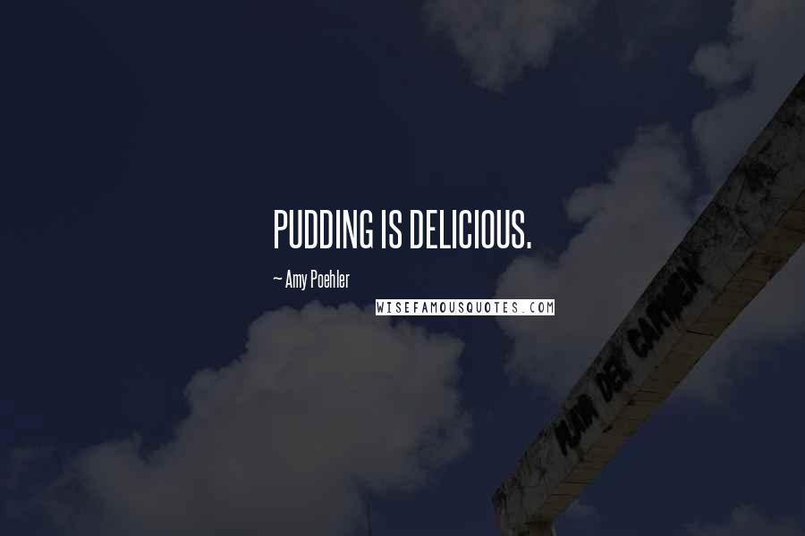 Amy Poehler Quotes: PUDDING IS DELICIOUS.