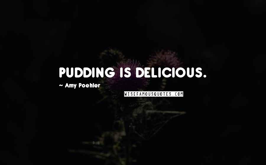 Amy Poehler Quotes: PUDDING IS DELICIOUS.