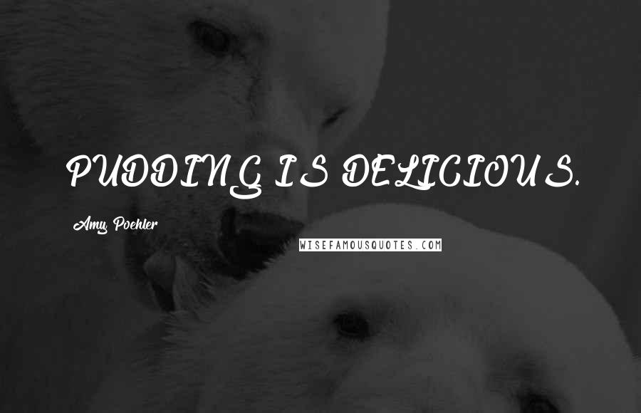 Amy Poehler Quotes: PUDDING IS DELICIOUS.