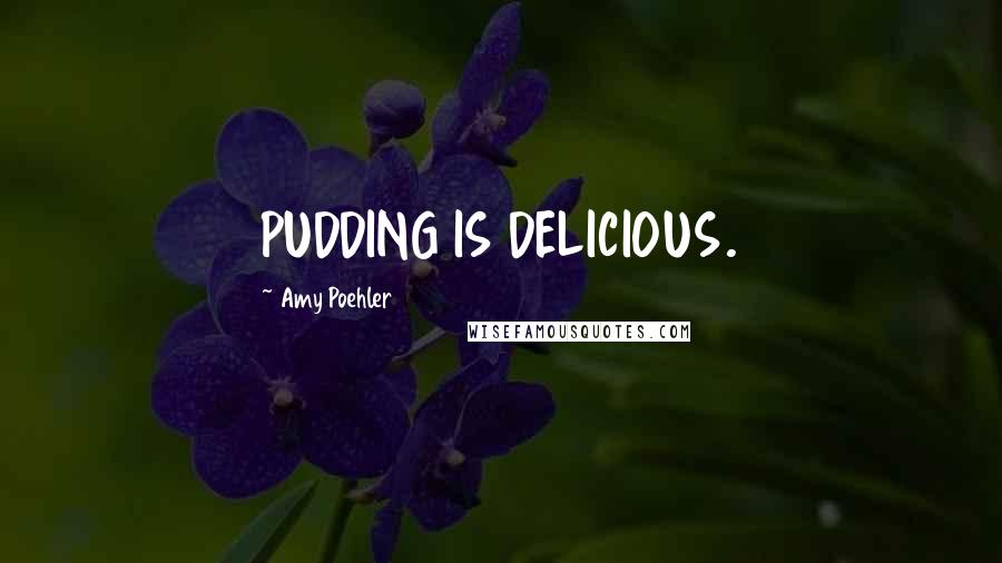 Amy Poehler Quotes: PUDDING IS DELICIOUS.