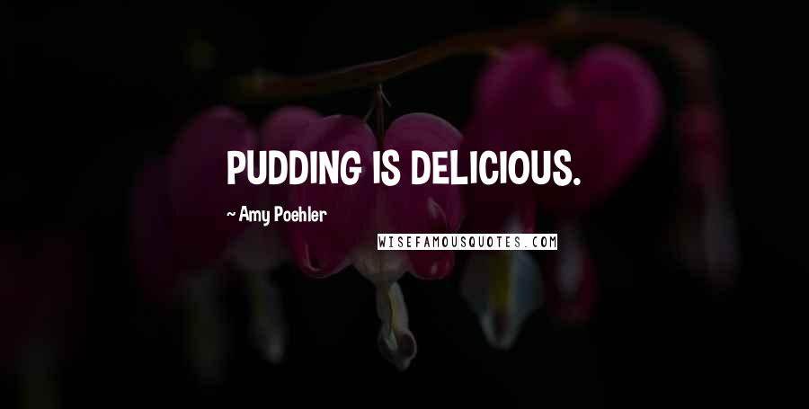 Amy Poehler Quotes: PUDDING IS DELICIOUS.