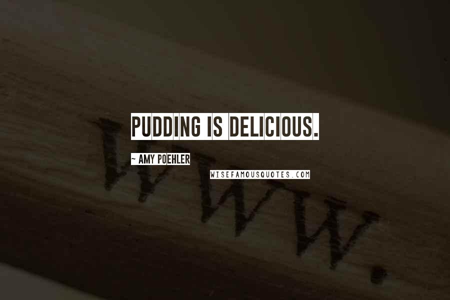 Amy Poehler Quotes: PUDDING IS DELICIOUS.