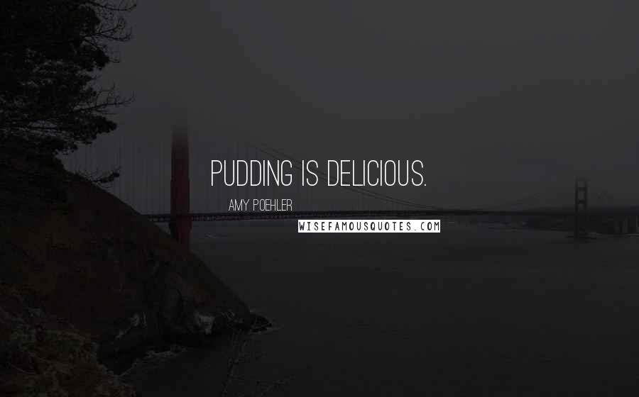 Amy Poehler Quotes: PUDDING IS DELICIOUS.