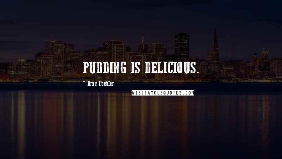 Amy Poehler Quotes: PUDDING IS DELICIOUS.