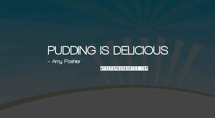 Amy Poehler Quotes: PUDDING IS DELICIOUS.