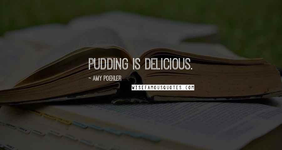 Amy Poehler Quotes: PUDDING IS DELICIOUS.
