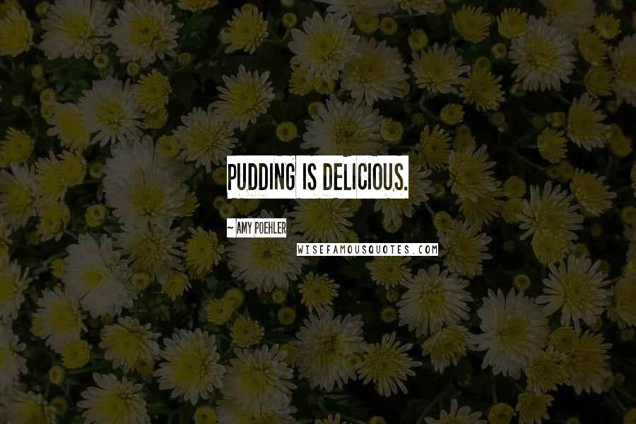 Amy Poehler Quotes: PUDDING IS DELICIOUS.