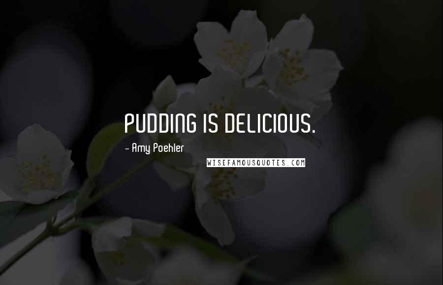 Amy Poehler Quotes: PUDDING IS DELICIOUS.