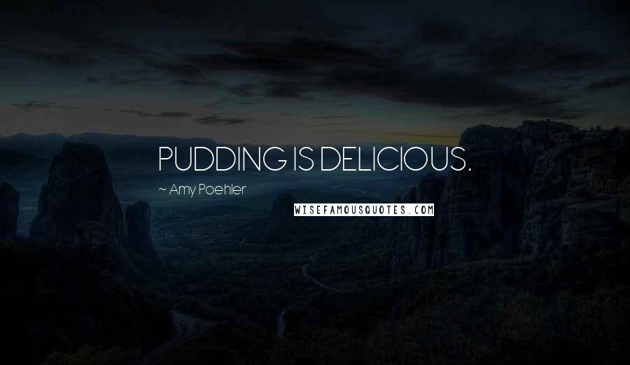 Amy Poehler Quotes: PUDDING IS DELICIOUS.