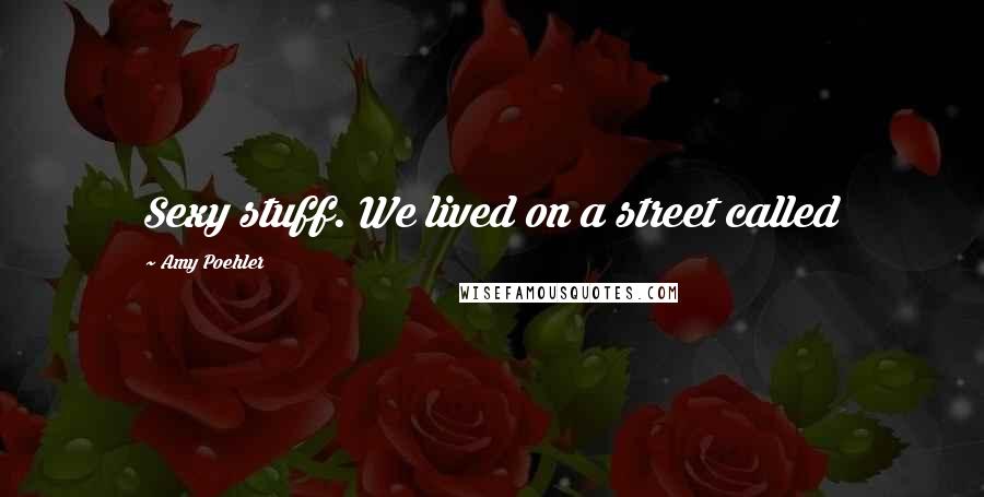 Amy Poehler Quotes: Sexy stuff. We lived on a street called
